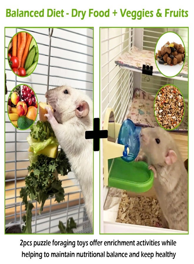 Jevnd 2Pcs Rat Enrichment Toys Set - Stainless Steel Fruit/Veg Holder & Treat Dispenser, Interactive Foraging Puzzle Toys for Rats/Mice/Birds, Cage Accessories with Hanging Feeder & Intelligence Game - Image 2